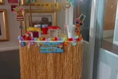 Mulberry Manor care home Swinton - resident activities