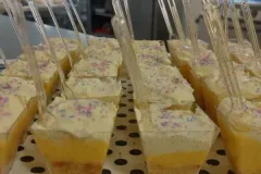 Mulberry Manor care home Swinton - resident activities