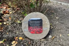 Mulberry Manor care home Swinton - resident activities