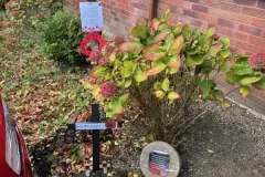 Mulberry Manor care home Swinton - resident activities