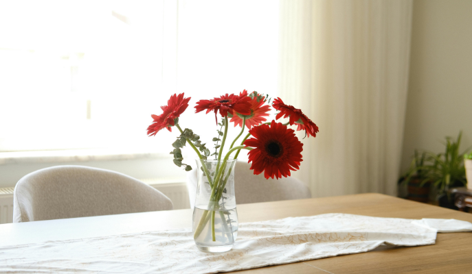 Palliative Care at Mulberry Manor care home Swinton